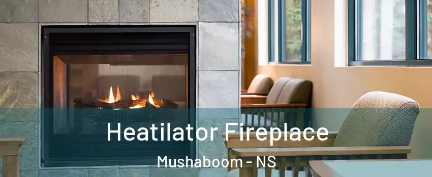  Heatilator Fireplace Mushaboom - NS