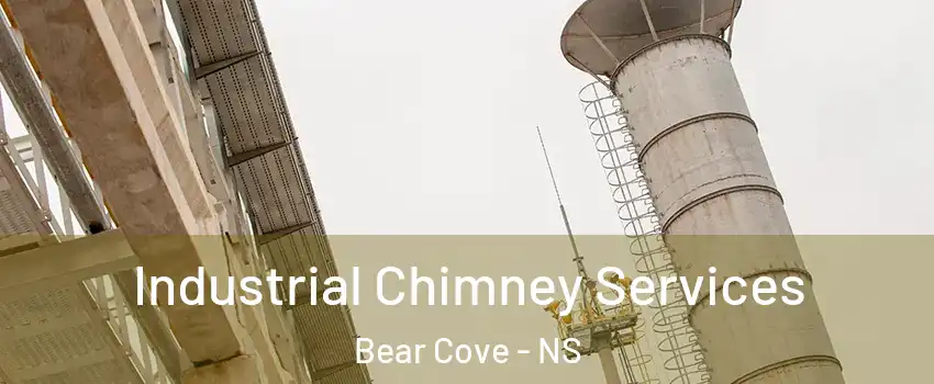  Industrial Chimney Services Bear Cove - NS