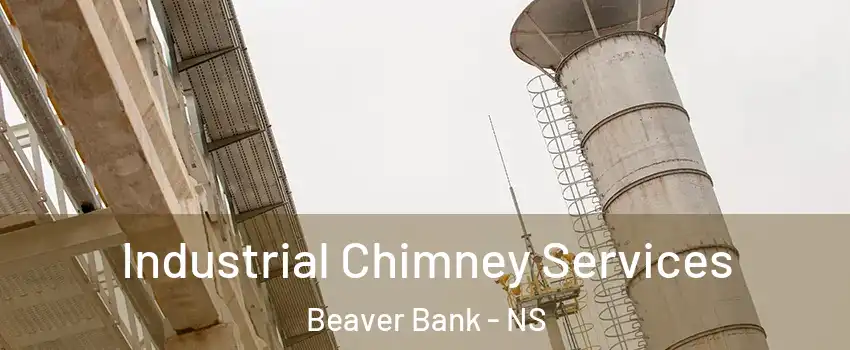  Industrial Chimney Services Beaver Bank - NS