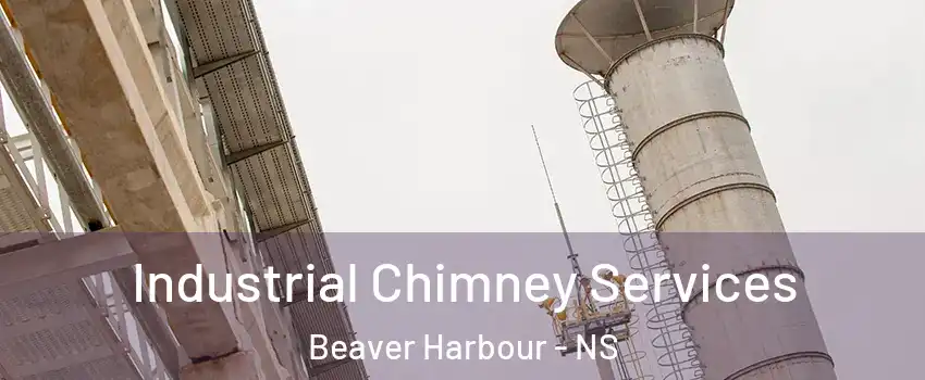  Industrial Chimney Services Beaver Harbour - NS