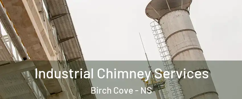  Industrial Chimney Services Birch Cove - NS
