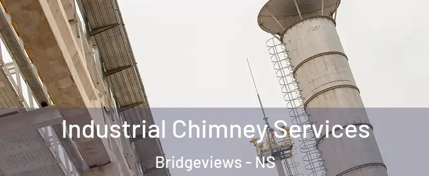  Industrial Chimney Services Bridgeviews - NS