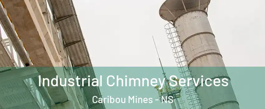  Industrial Chimney Services Caribou Mines - NS