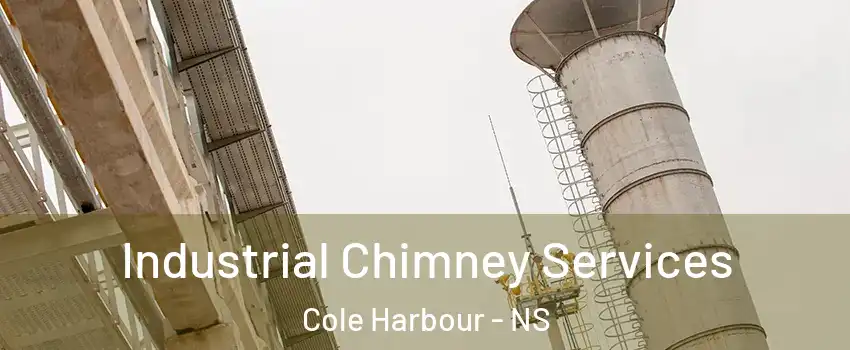  Industrial Chimney Services Cole Harbour - NS