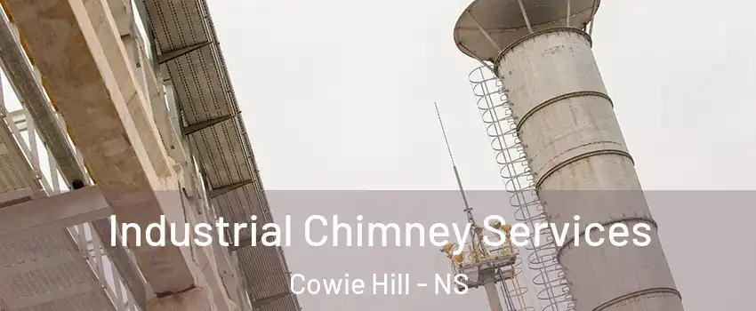  Industrial Chimney Services Cowie Hill - NS