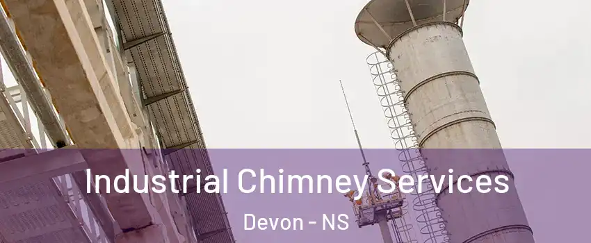  Industrial Chimney Services Devon - NS