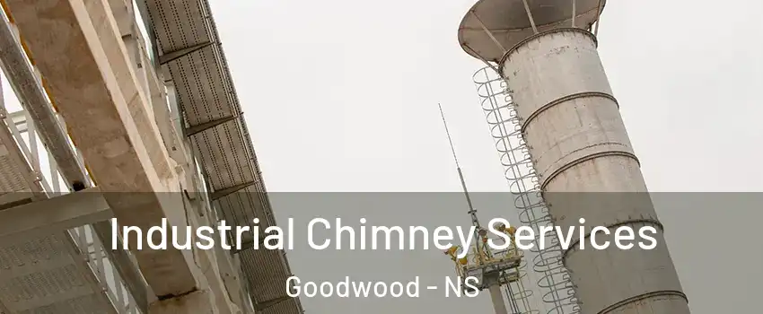  Industrial Chimney Services Goodwood - NS