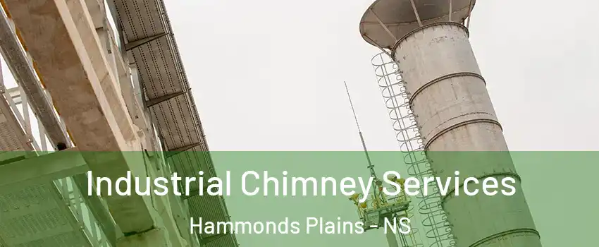  Industrial Chimney Services Hammonds Plains - NS