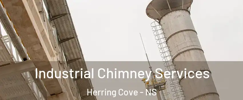  Industrial Chimney Services Herring Cove - NS