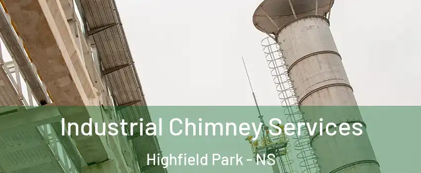  Industrial Chimney Services Highfield Park - NS