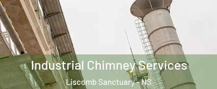  Industrial Chimney Services Liscomb Sanctuary - NS