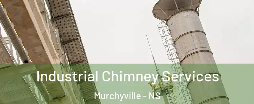  Industrial Chimney Services Murchyville - NS