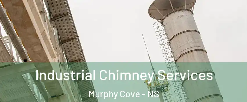  Industrial Chimney Services Murphy Cove - NS