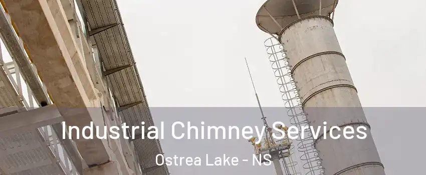  Industrial Chimney Services Ostrea Lake - NS