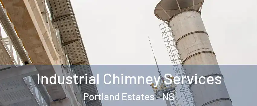 Industrial Chimney Services Portland Estates - NS