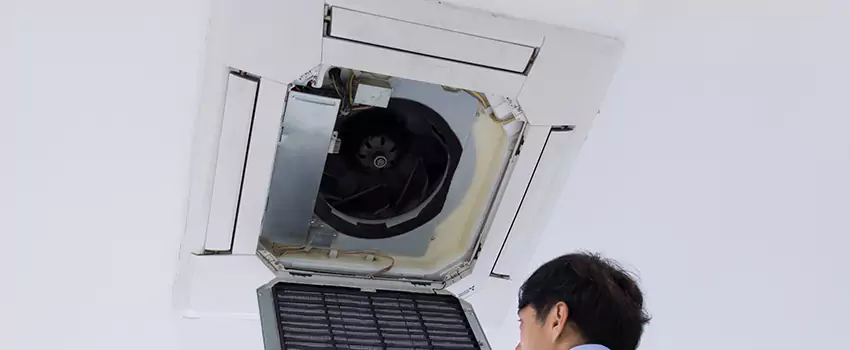Benefits of Professional Air Duct Cleaning in Caribou Mines, Nova Scotia