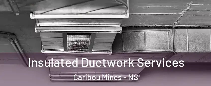  Insulated Ductwork Services Caribou Mines - NS