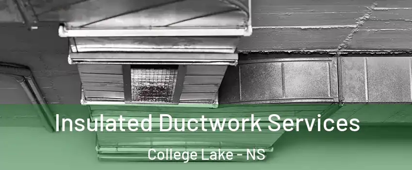  Insulated Ductwork Services College Lake - NS