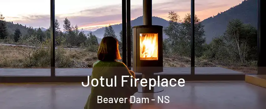  Jotul Fireplace Beaver Dam - NS
