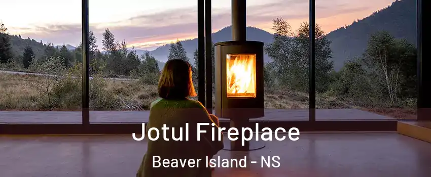  Jotul Fireplace Beaver Island - NS