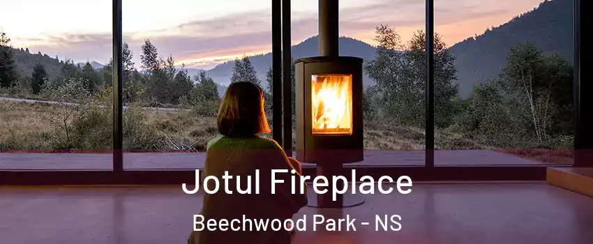  Jotul Fireplace Beechwood Park - NS
