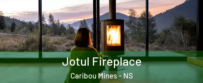  Jotul Fireplace Caribou Mines - NS