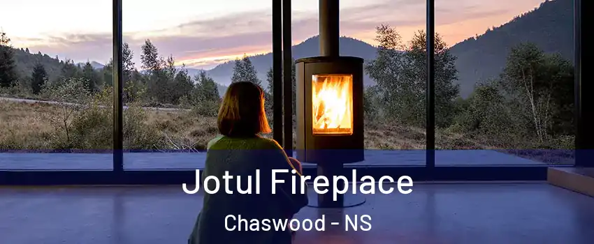  Jotul Fireplace Chaswood - NS