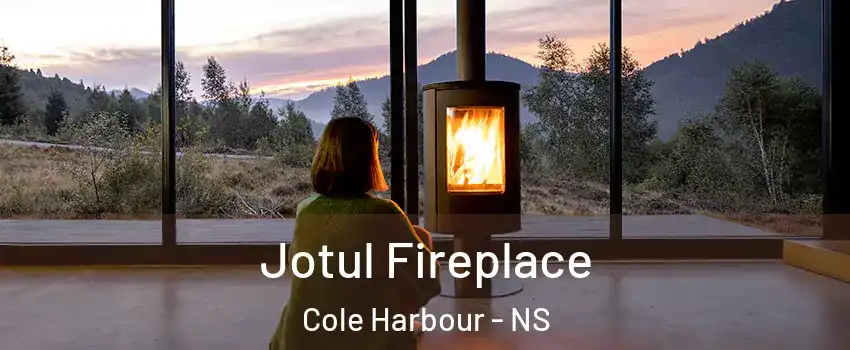  Jotul Fireplace Cole Harbour - NS