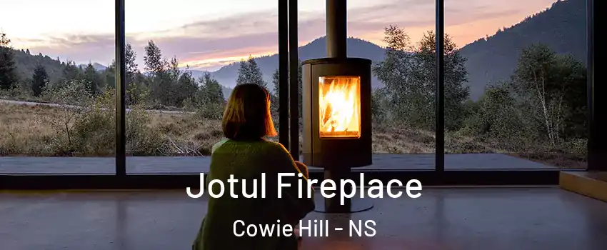  Jotul Fireplace Cowie Hill - NS