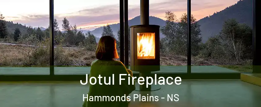  Jotul Fireplace Hammonds Plains - NS