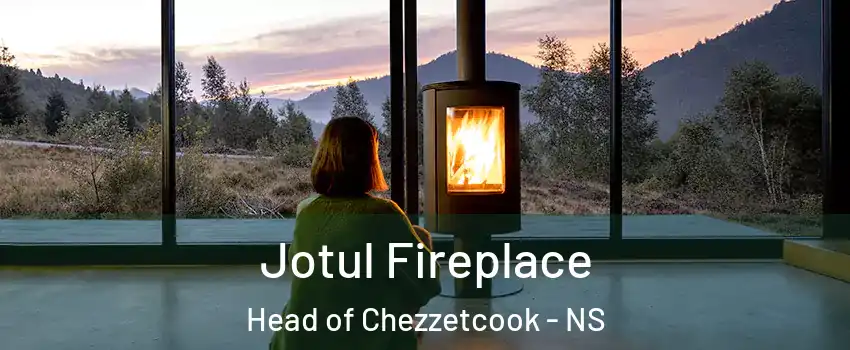  Jotul Fireplace Head of Chezzetcook - NS