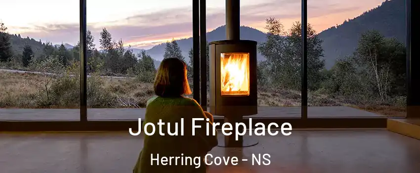  Jotul Fireplace Herring Cove - NS