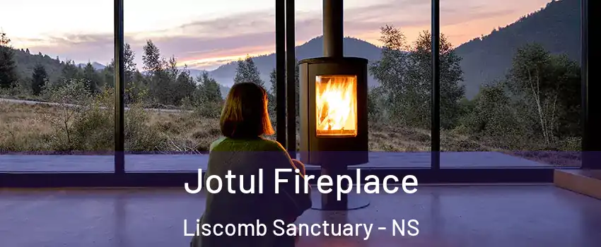  Jotul Fireplace Liscomb Sanctuary - NS