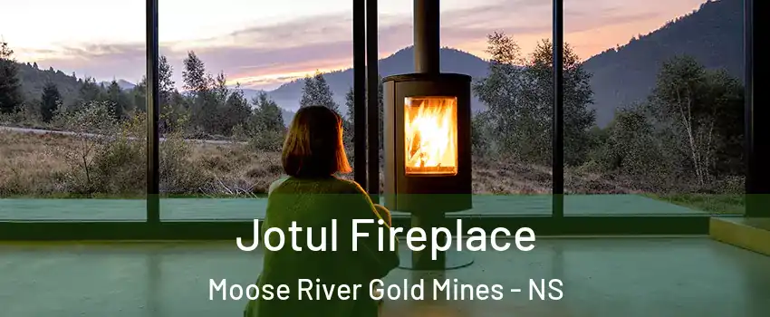  Jotul Fireplace Moose River Gold Mines - NS