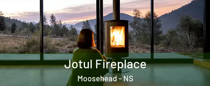  Jotul Fireplace Moosehead - NS