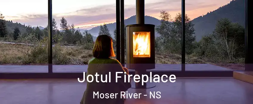  Jotul Fireplace Moser River - NS