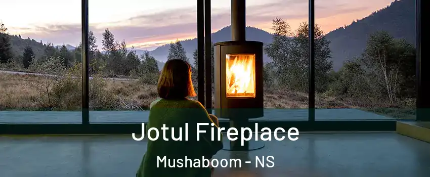  Jotul Fireplace Mushaboom - NS