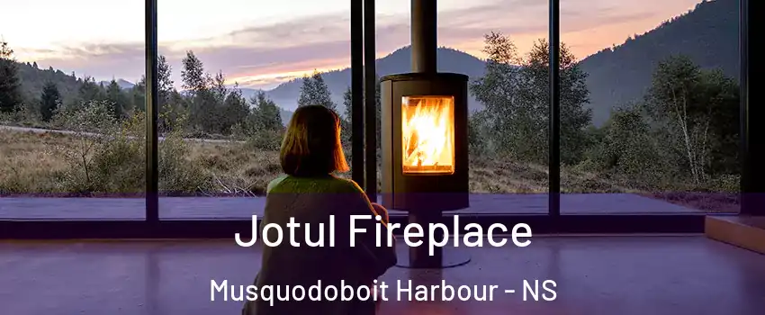  Jotul Fireplace Musquodoboit Harbour - NS
