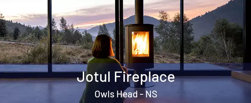  Jotul Fireplace Owls Head - NS