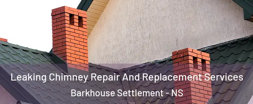  Leaking Chimney Repair And Replacement Services Barkhouse Settlement - NS