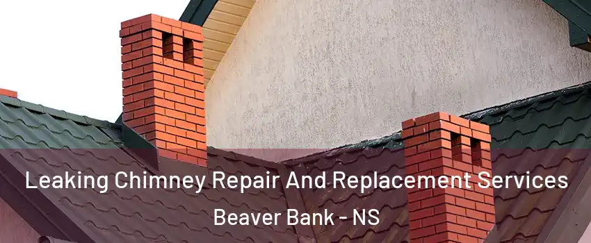  Leaking Chimney Repair And Replacement Services Beaver Bank - NS