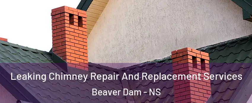  Leaking Chimney Repair And Replacement Services Beaver Dam - NS