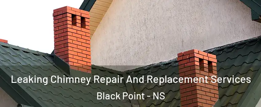  Leaking Chimney Repair And Replacement Services Black Point - NS