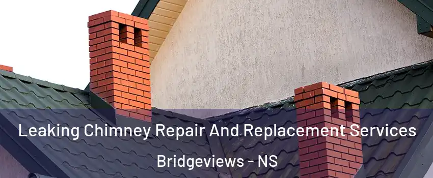 Leaking Chimney Repair And Replacement Services Bridgeviews - NS