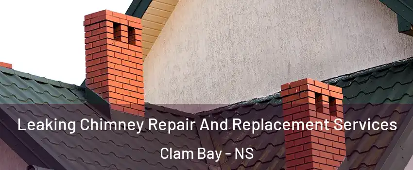 Leaking Chimney Repair And Replacement Services Clam Bay - NS