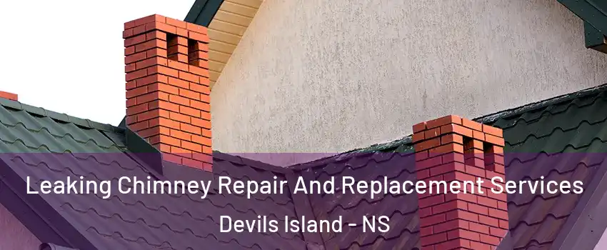  Leaking Chimney Repair And Replacement Services Devils Island - NS
