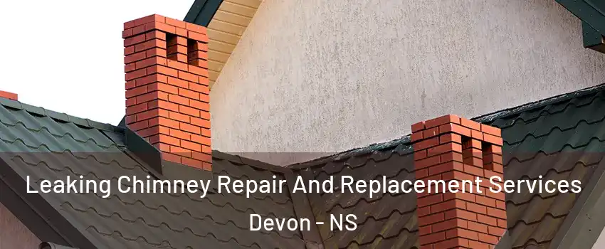  Leaking Chimney Repair And Replacement Services Devon - NS