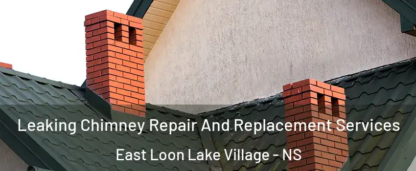  Leaking Chimney Repair And Replacement Services East Loon Lake Village - NS