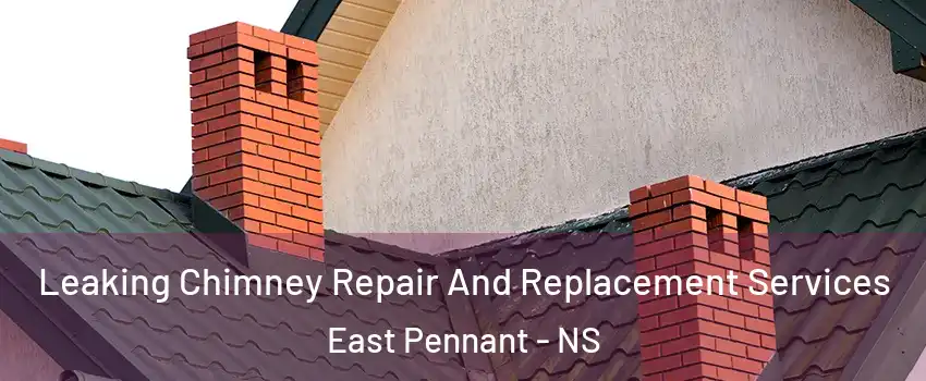  Leaking Chimney Repair And Replacement Services East Pennant - NS
