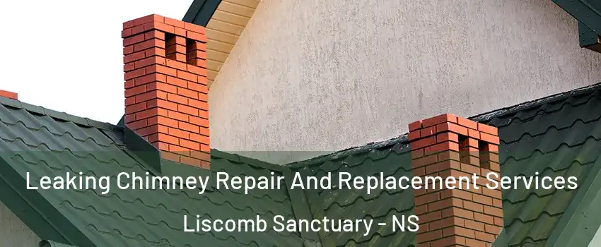  Leaking Chimney Repair And Replacement Services Liscomb Sanctuary - NS